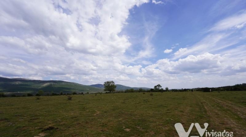 Guadalajara - Campillo de Ranas - 5154m2
