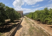 Terreno no urbanizable en venta en la España, Oliva, ref: TR413068 foto