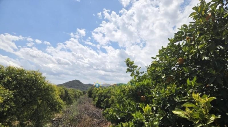 València - Oliva - 2924m2