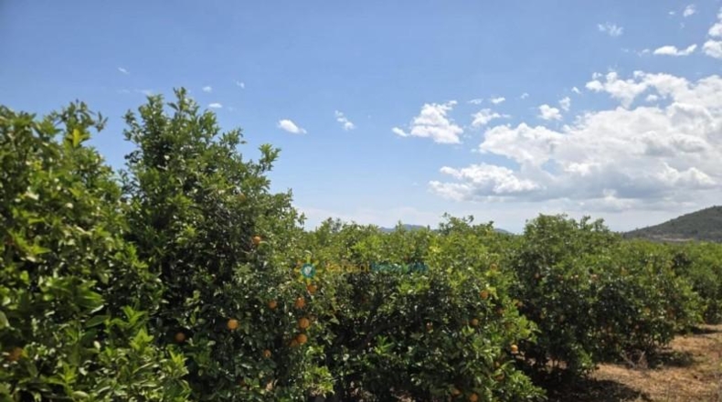 València - Oliva - 2924m2