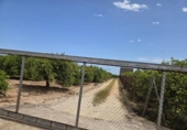 Terreno no urbanizable en venta en la España, Oliva, ref: TR413068 foto