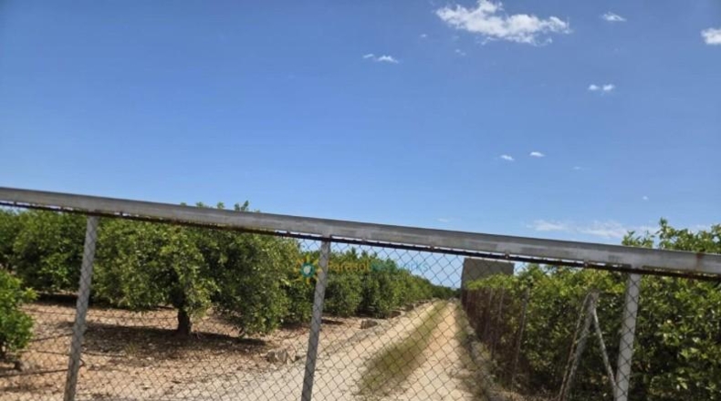 València - Oliva - 2924m2