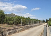 Terreno no urbanizable en venta en la España, Oliva, ref: TR413068 foto