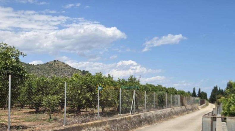 València - Oliva - 2924m2