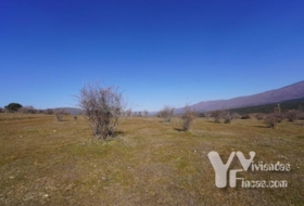 Campillo de Ranas 3861&nbsp;m² 