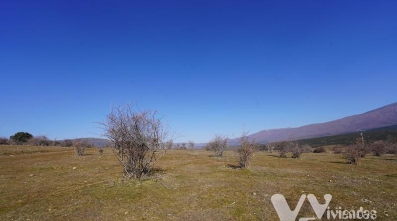 Guadalajara - Campillo de Ranas - 3861m2