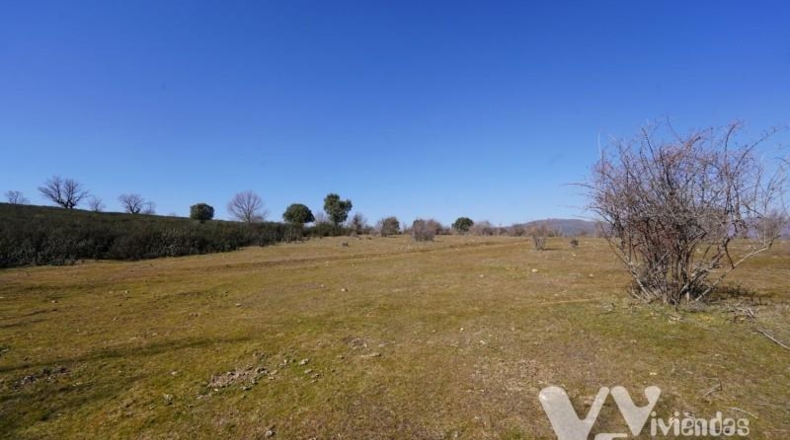 Guadalajara - Campillo de Ranas - 3861m2