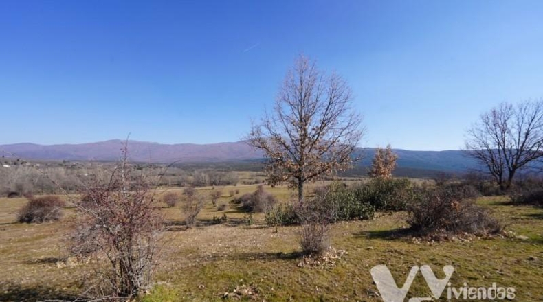 Guadalajara - Campillo de Ranas - 3861m2