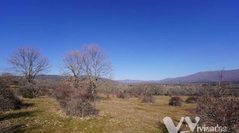 Guadalajara - Campillo de Ranas - 3861m2