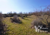 Terreny no urbanitzable en venda a la España, Campillo de Ranas, ref.: TR413073 foto