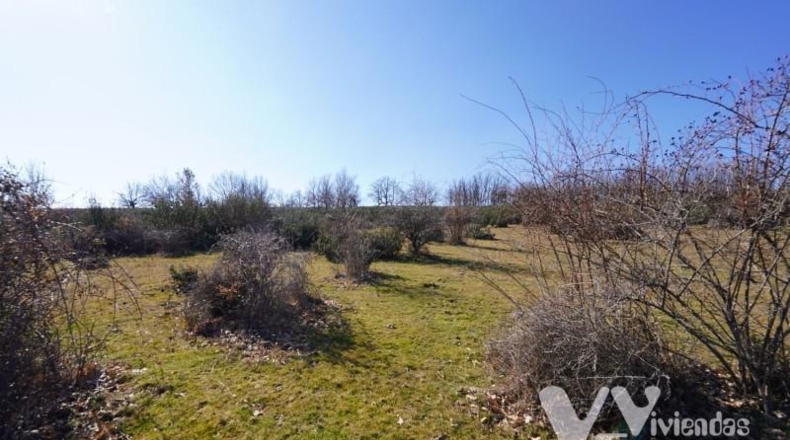 Guadalajara - Campillo de Ranas - 3861m2