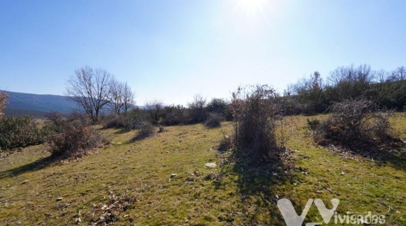 Guadalajara - Campillo de Ranas - 3861m2
