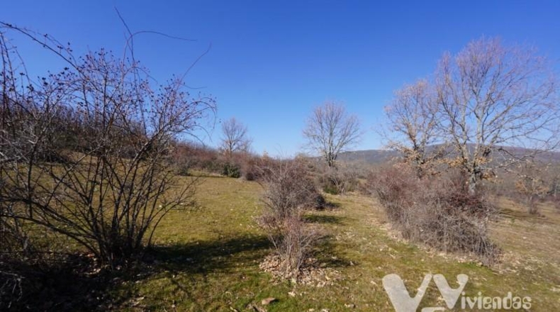 Guadalajara - Campillo de Ranas - 3861m2
