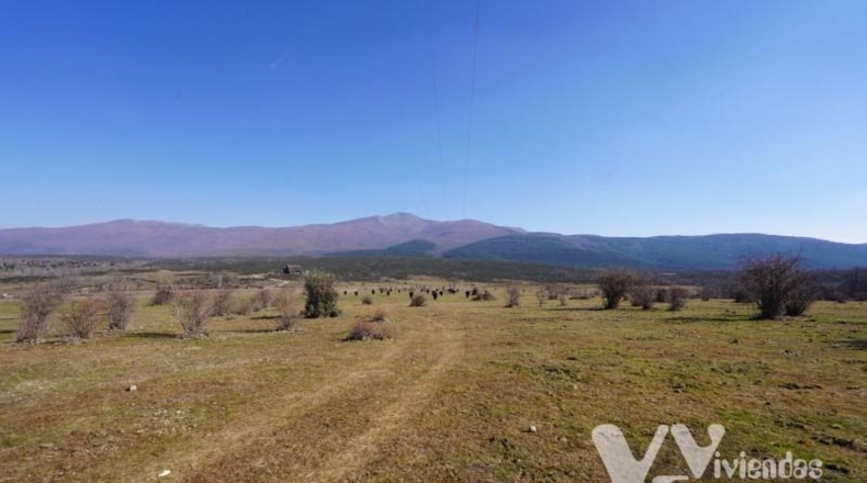 Guadalajara - Campillo de Ranas - 3861m2