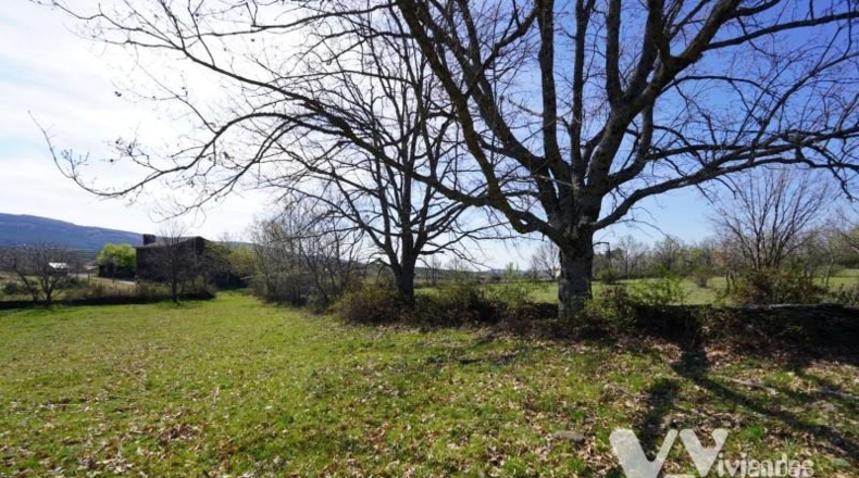 Guadalajara - Campillo de Ranas - 3242m2