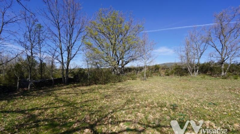 Guadalajara - Campillo de Ranas - 3242m2