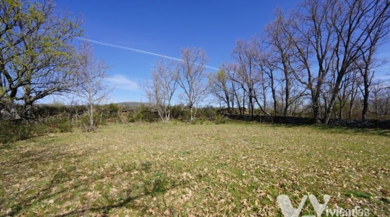 Guadalajara - Campillo de Ranas - 3242m2