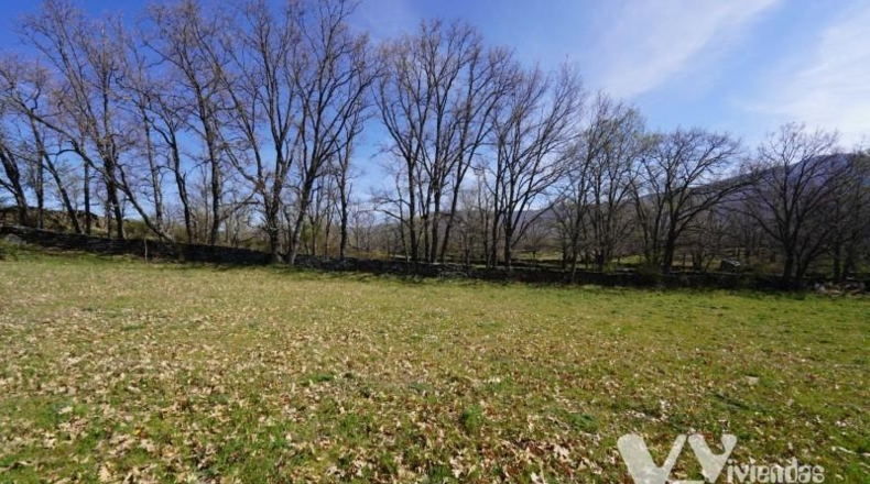 Guadalajara - Campillo de Ranas - 3242m2