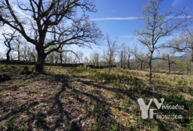 Campillo de Ranas 3242&nbsp;m² 