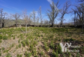 Campillo de Ranas 3242&nbsp;m² 