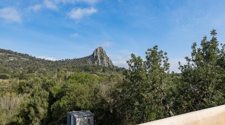 Illes Balears - Lluchmayor - 3600m2