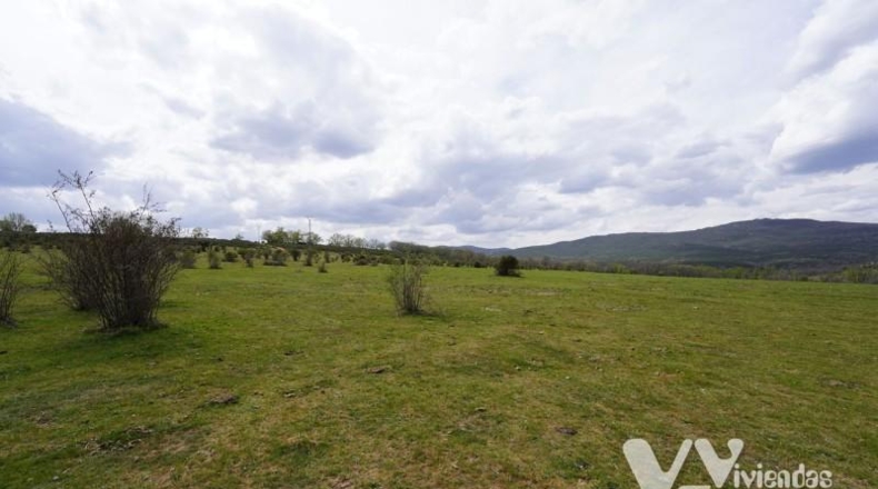 Guadalajara - Campillo de Ranas - 4813m2