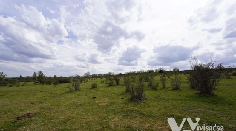 Guadalajara - Campillo de Ranas - 4813m2