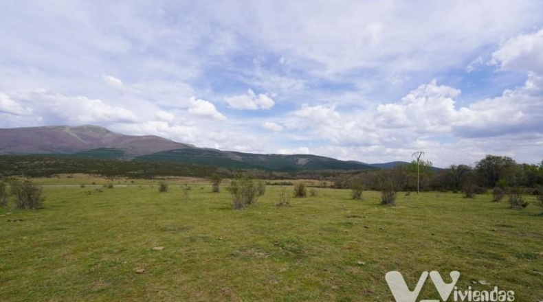 Guadalajara - Campillo de Ranas - 4813m2