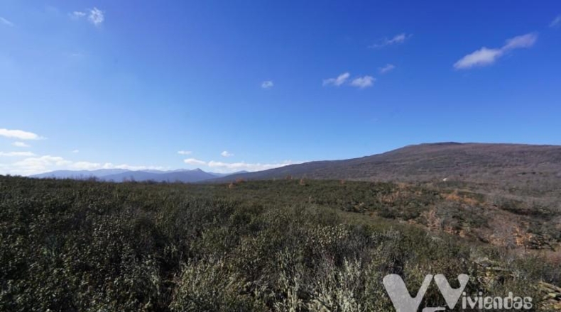 Guadalajara - Campillo de Ranas - 9713m2