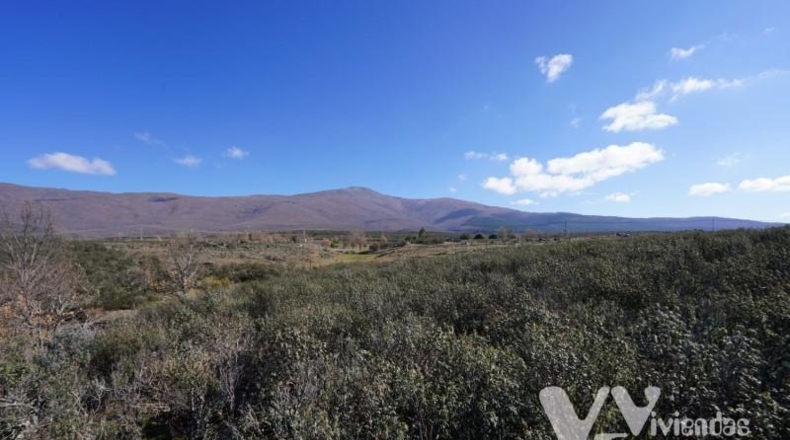Guadalajara - Campillo de Ranas - 9713m2