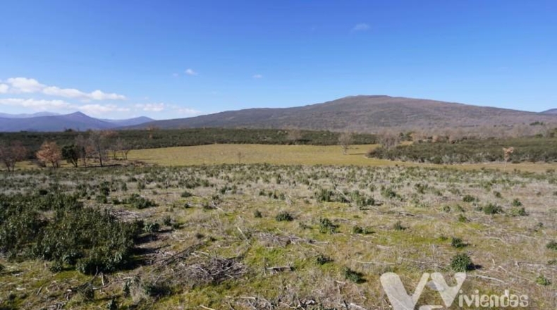 Guadalajara - Campillo de Ranas - 9713m2