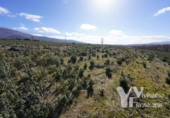 Terreny no urbanitzable en venda a la España, Campillo de Ranas, ref.: TR413075 foto