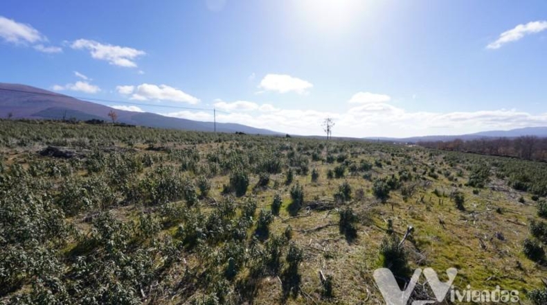 Guadalajara - Campillo de Ranas - 9713m2