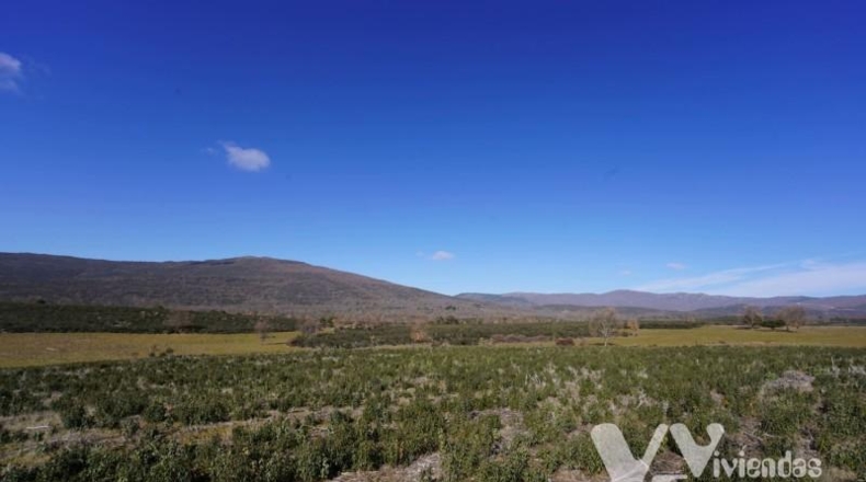 Guadalajara - Campillo de Ranas - 9713m2