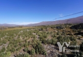 Terreny no urbanitzable en venda a la España, Campillo de Ranas, ref.: TR413075 foto