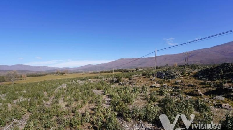 Guadalajara - Campillo de Ranas - 9713m2