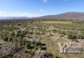 Terreny no urbanitzable en venda a la España, Campillo de Ranas, ref.: TR413075 foto