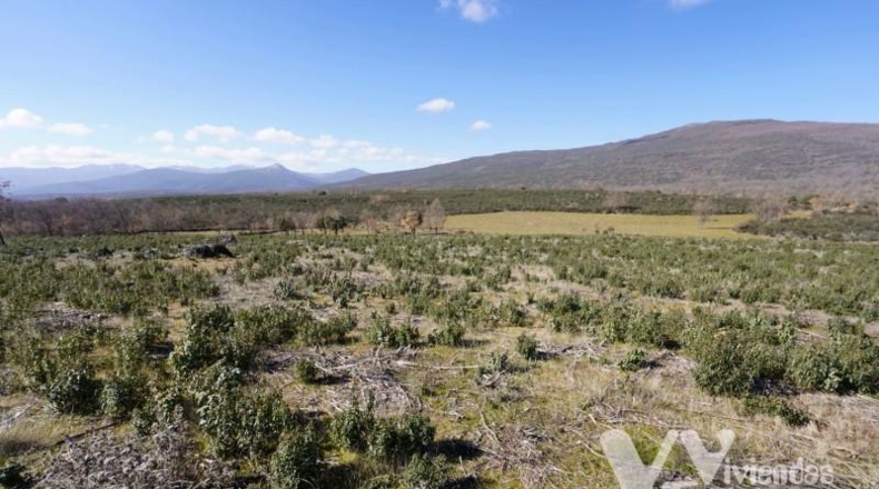 Guadalajara - Campillo de Ranas - 9713m2
