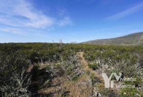 Campillo de Ranas 8710&nbsp;m² 