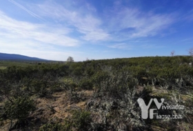 Campillo de Ranas 8710&nbsp;m² 
