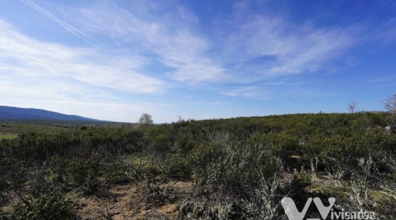 Guadalajara - Campillo de Ranas - 8710m2