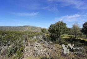 Campillo de Ranas 8710&nbsp;m² 