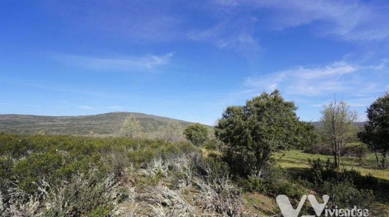 Guadalajara - Campillo de Ranas - 8710m2