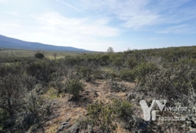 Campillo de Ranas 8710&nbsp;m² 