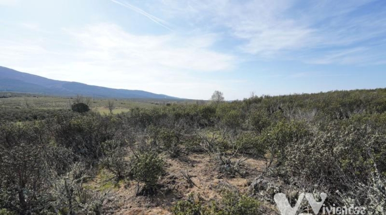 Guadalajara - Campillo de Ranas - 8710m2