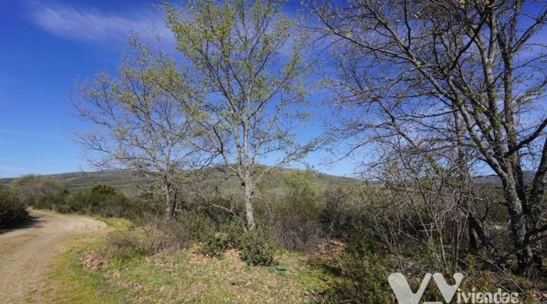 Guadalajara - Campillo de Ranas - 8710m2