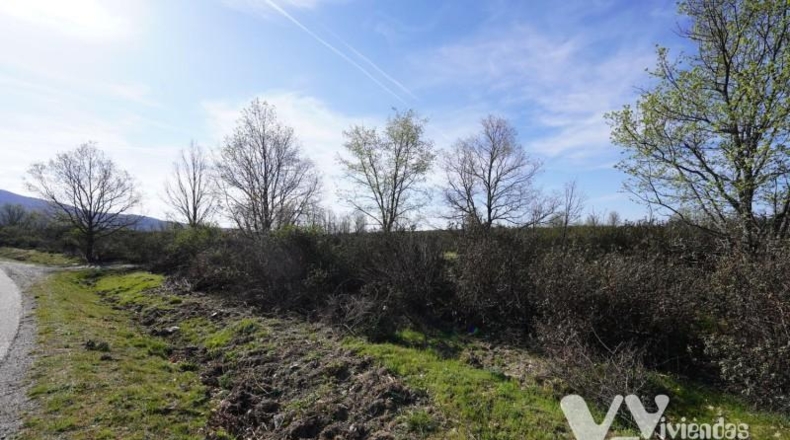 Guadalajara - Campillo de Ranas - 8710m2