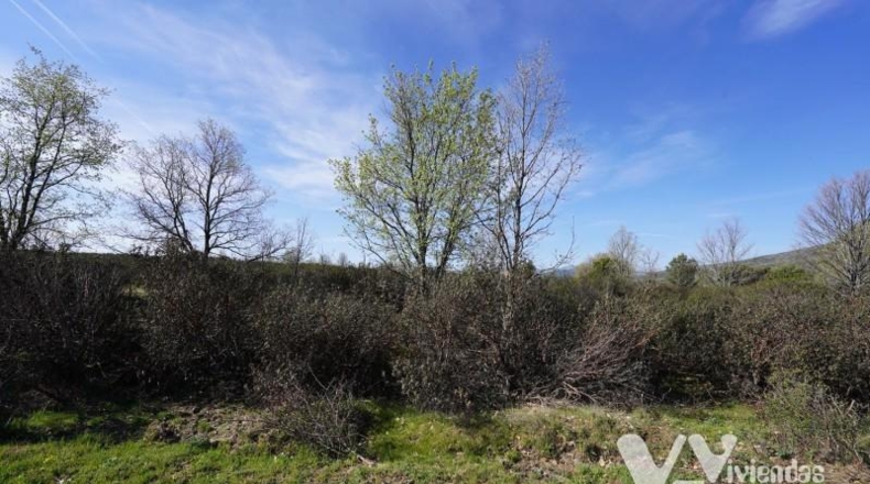 Guadalajara - Campillo de Ranas - 8710m2