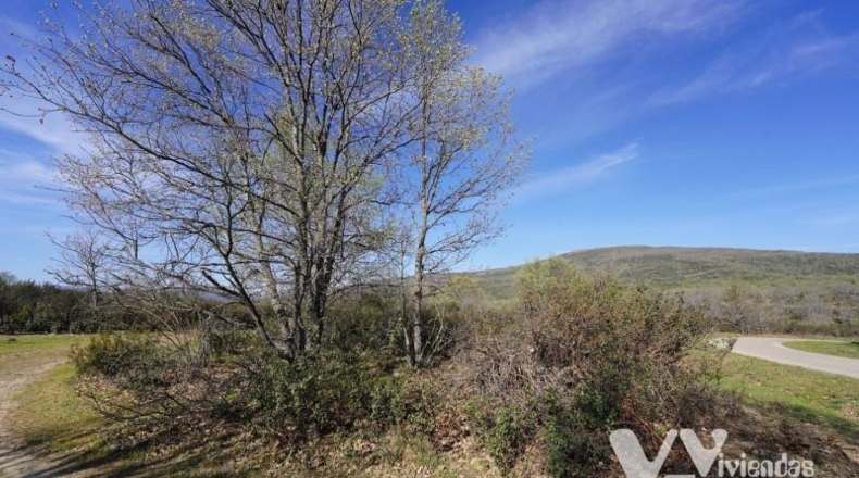 Guadalajara - Campillo de Ranas - 8710m2