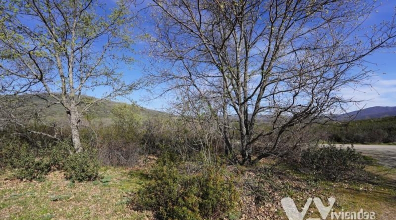 Guadalajara - Campillo de Ranas - 8710m2